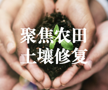聚焦農(nóng)田土壤修復(fù)，保障糧食產(chǎn)品安全 ——踔厲奮發(fā)、篤行不怠，以奮斗之姿獻(xiàn)禮黨的二十大
