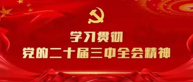 學(xué)習(xí)會議精神，貫徹落實工作 --川勘天晟源公司黨支部召開主題黨員大會
